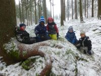 Waldtag